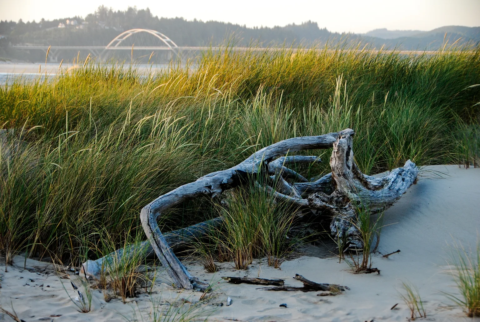 Well-appointed kitchen and dining area prepared for a luxury guest stay